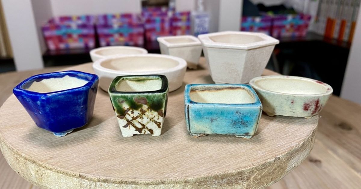 町直 伊豆廃窯記念 小鉢 盆栽鉢 盆栽鉢 植木鉢 「瀬戸焼文山窯絵付小鉢12点セット」 絵鉢 絵付鉢